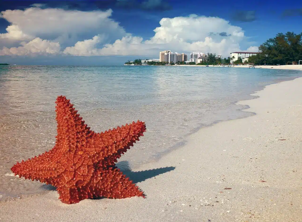 Cosa vedere a Nassau Grand-Bahama-Freeport-Bahamas