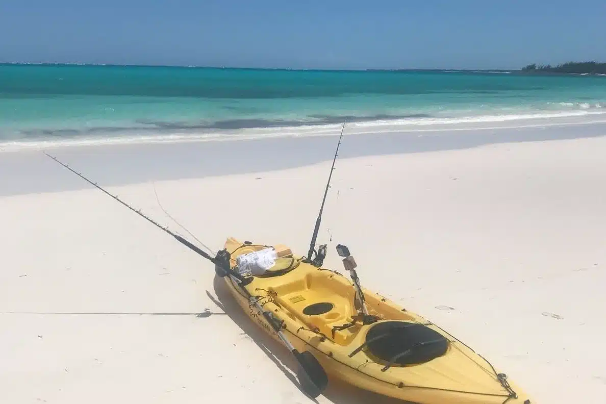 pesca alle bahamas Pesci giganti alle Bahamas - Pesci tropicali grandi