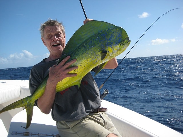 Pesci giganti alle Bahamas - Pesci tropicali grandi
