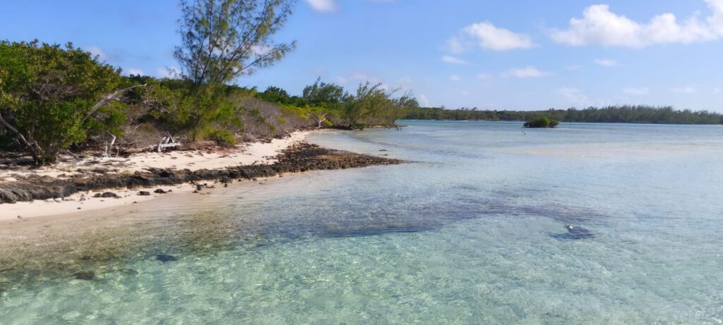 quando andare alle bahamas