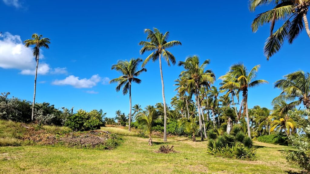 quando andare alle bahamas