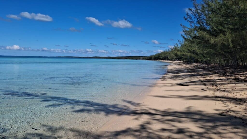 Le Spiagge più Belle dei Caraibi: Classifica 2026