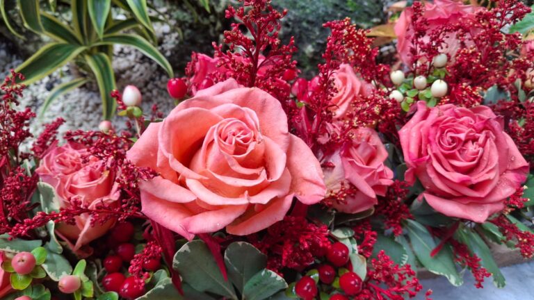 caffè matisse nassau