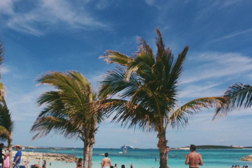 Palme sulla spiaggia di una baia delle Bahamas