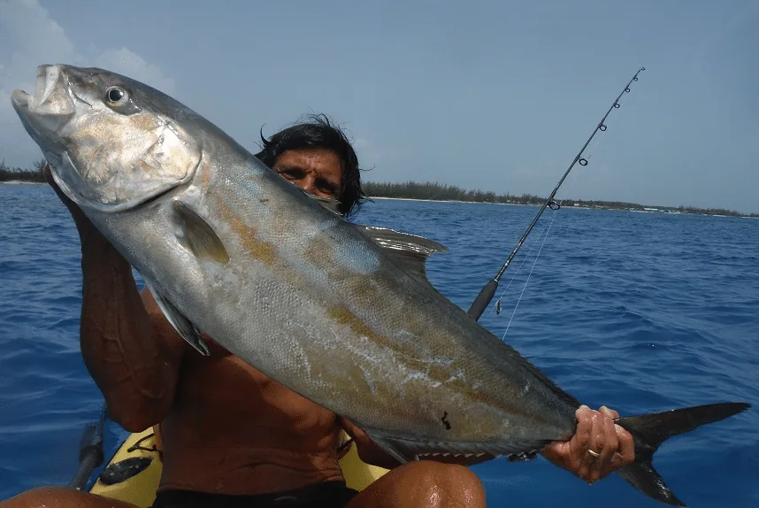 pesca-d'altura pesca alle bahamas