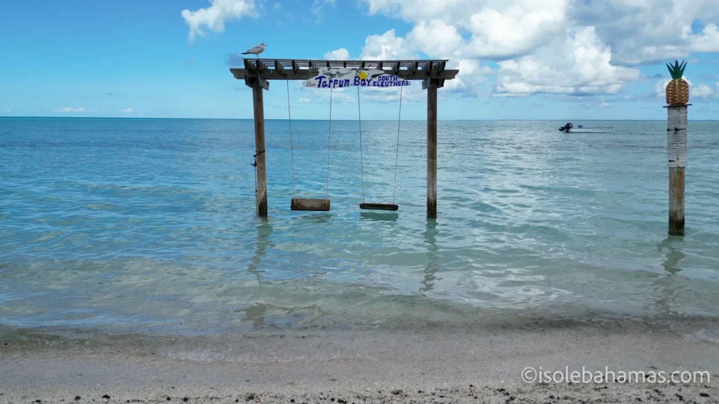 Altalena in legno nell'acqua a Tarpum Bay, Eleuthera, con un gabbiano