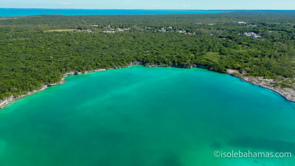 Baia turchese circondata dalla foresta vista dal drone a Eleuthera, Bahamas