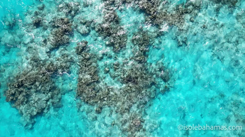 Barriera corallina in acqua turchese vista dal drone alle Bahamas