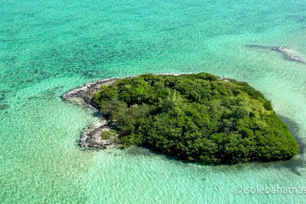 Isolotto verde nell'acqua turchese delle Bahamas visto dal drone