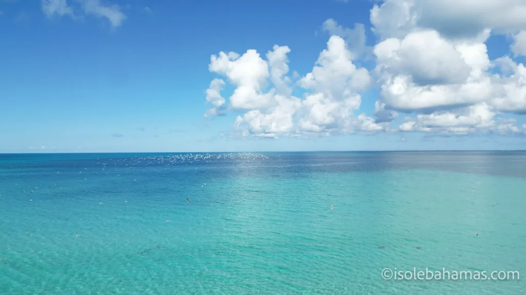 Mare aperto turchese sotto nuvole bianche alle Bahamas
