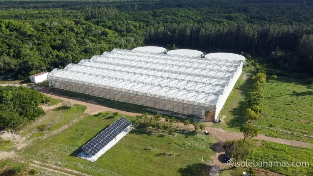 Serre agricole della One Eleuthera Foundation viste dal drone