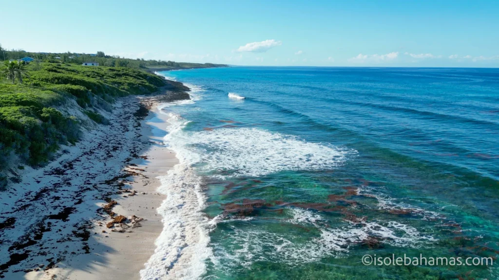 Spiaggia sul lato atlantico di Eleuthera con onde e alghe portate dal mare