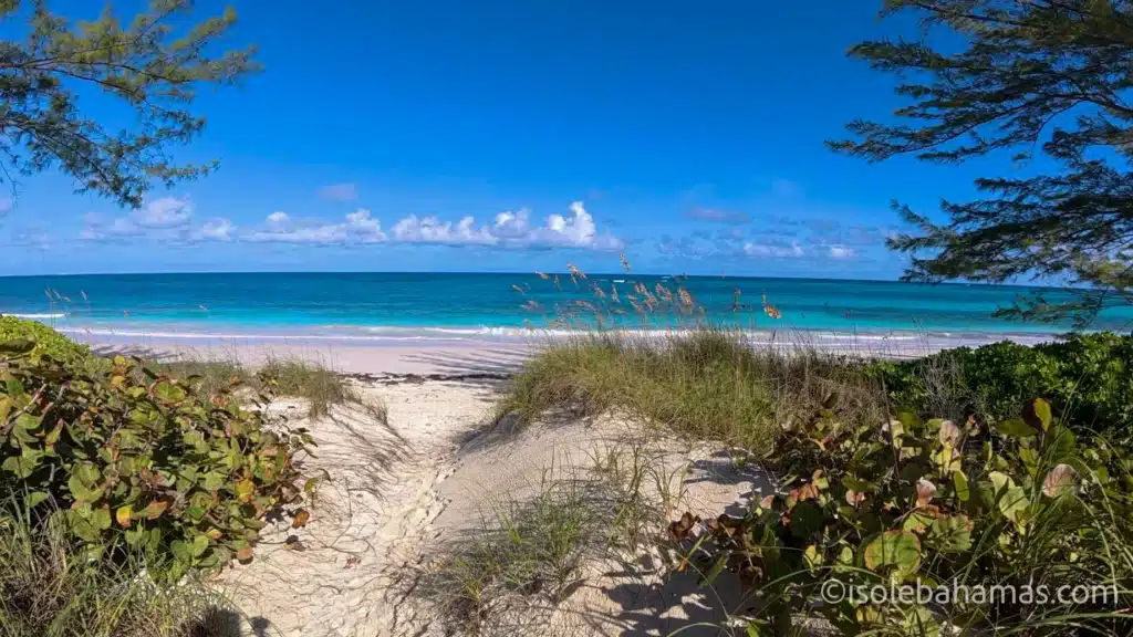 Sentiero tra le dune verso una spiaggia delle Bahamas con cielo sereno a inizio dicembre