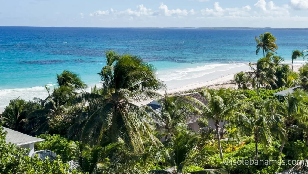 Spiaggia e mare turchese di Harbour Island visti dall'alto tra le palme