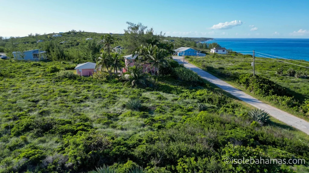 Terreno con macchia bassa e strada di accesso a Eleuthera visto dal drone, con case sparse e il mare sullo sfondo